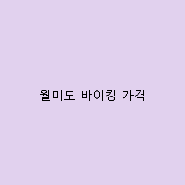 월미도 바이킹 가격, 가성비 좋은 놀이기구의 모든 것