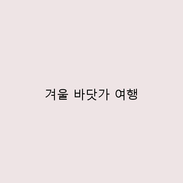 겨울 바닷가 여행, 잊지 못할 순간을 만드는 5가지 팁