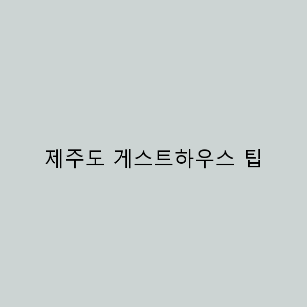 제주도 게스트하우스 팁으로 완벽한 숙소 찾기 비법