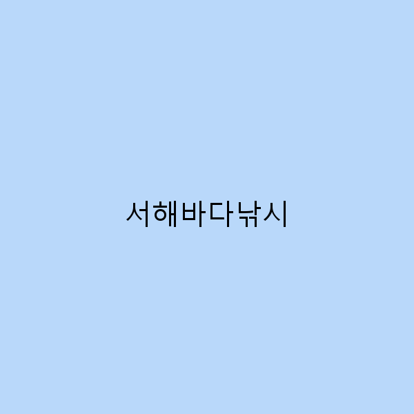 서해바다낚시로 즐기는 완벽한 여름 여행 가이드