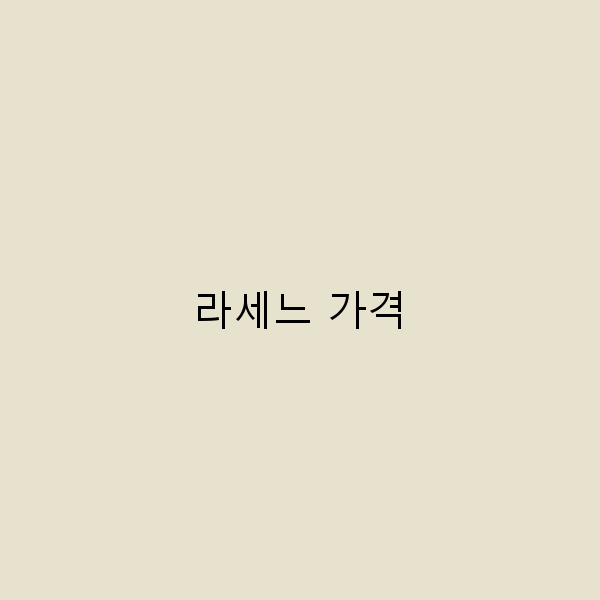 라세느 가격 완벽 가이드 여행 예산을 절약하는 팁