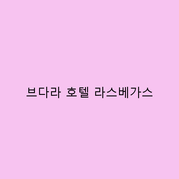 브다라 호텔 라스베가스에서의 잊지 못할 여행 경험 공유