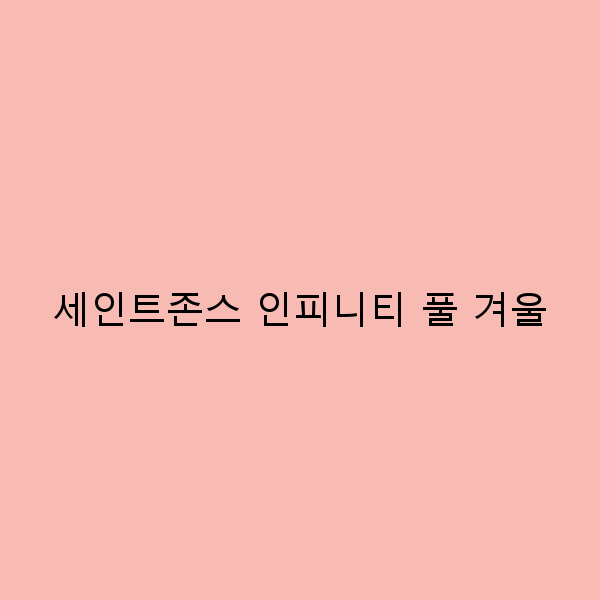 겨울에 즐기는 세인트존스 인피니티 풀의 매력적인 순간들