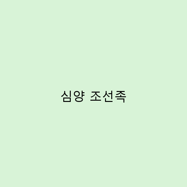 심양 조선족 문화 탐방 놓치면 후회할 여행 가이드