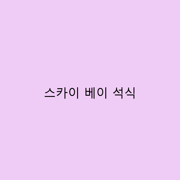 스카이 베이 석식으로 즐기는 환상적인 저녁 여행 경험