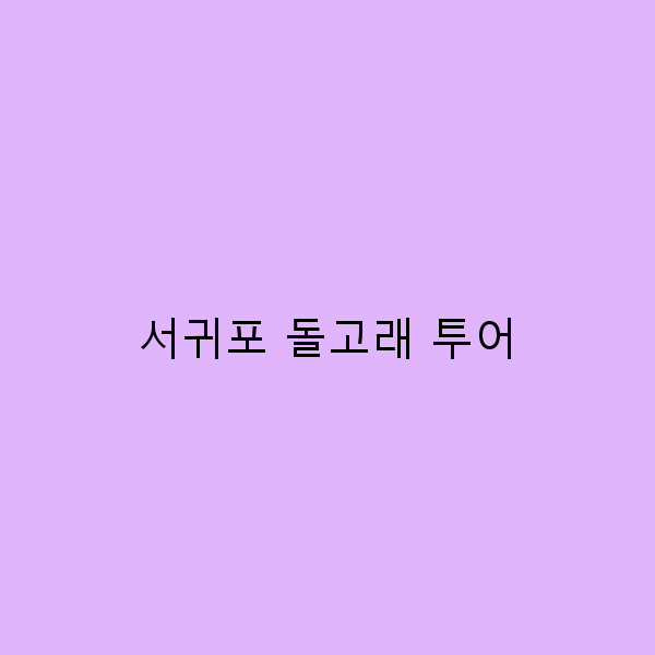 서귀포 돌고래 투어에서 만나는 특별한 경험 5가지
