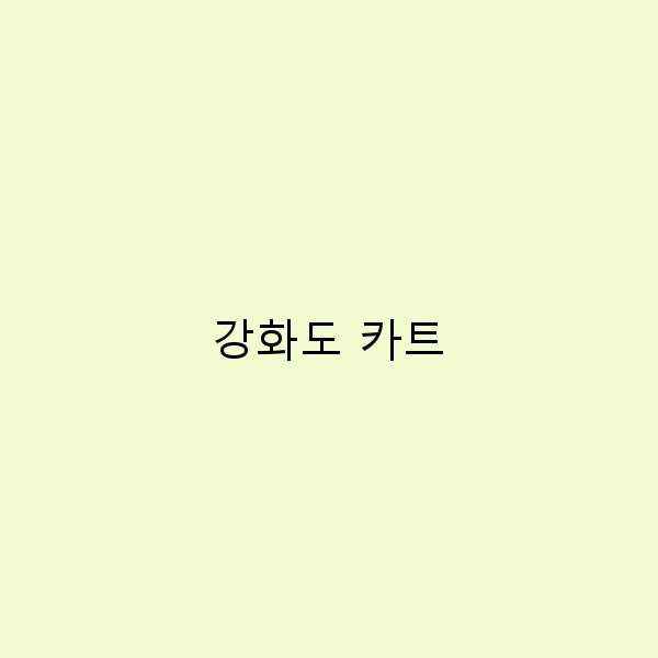 강화도 카트 여행의 모든 즐거움과 팁 총정리