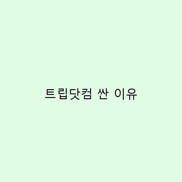 트립닷컴이 저렴한 이유와 여행 경비 절약 팁