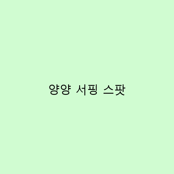 양양 서핑 스팟에서의 완벽한 하루, 놓치면 후회할 팁 5가지