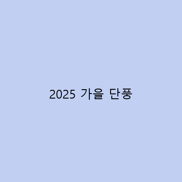 2025 가을 단풍, 놓치면 후회할 여행 명소 10곳
