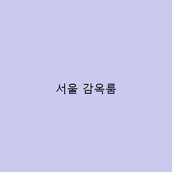 서울 감옥룸에서의 특별한 여행 경험, 놓치지 마세요!
