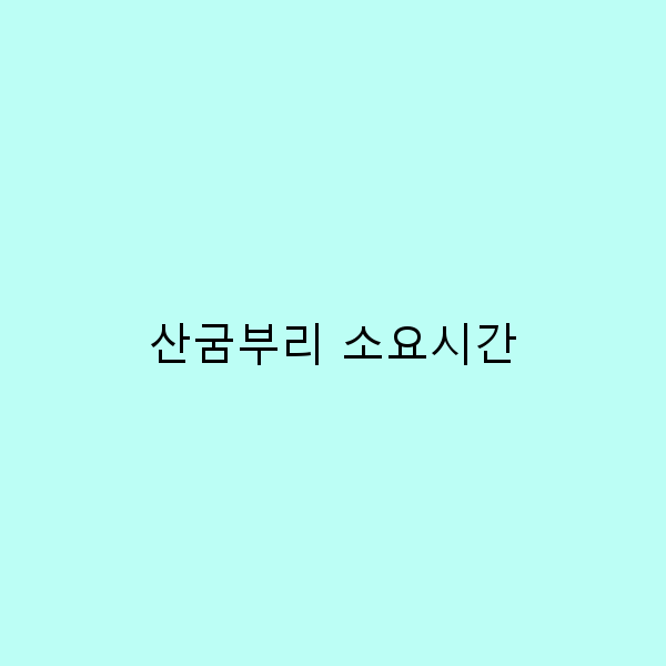 산굼부리 소요시간을 최적화하는 완벽한 여행 팁