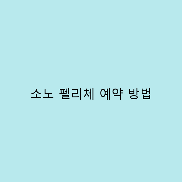 소노 펠리체 예약 방법 완벽 가이드 초보자를 위한 팁