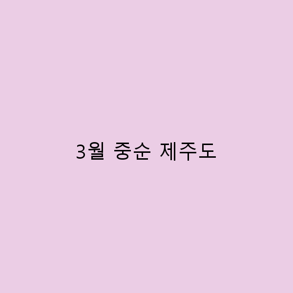 3월 중순 제주도, 숨겨진 매력을 찾아 떠나는 여행 팁