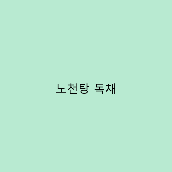 노천탕 독채에서 즐기는 힐링 여행의 모든 것