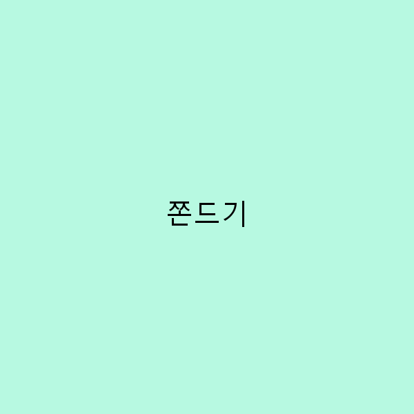 쫀드기로 떠나는 특별한 여행, 놓치면 후회할 매력적인 명소들