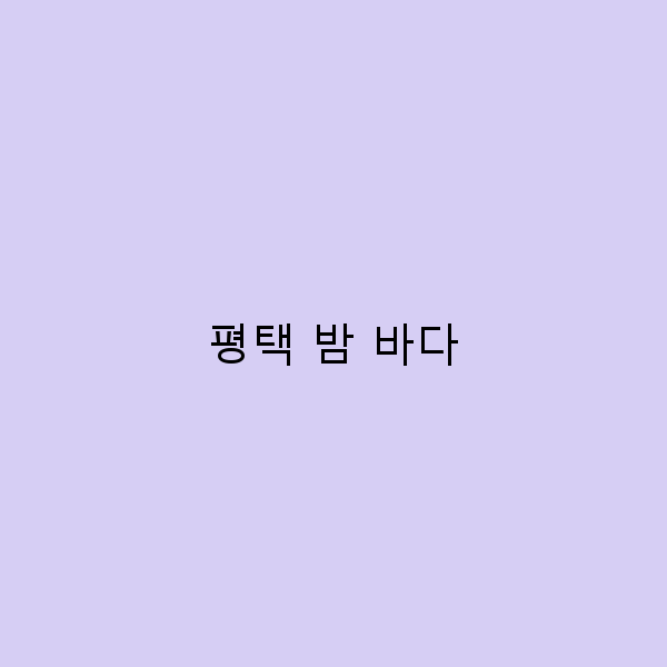 평택 밤 바다에서 느끼는 잊지 못할 여행의 순간들