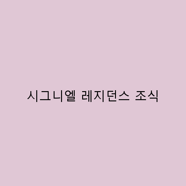 시그니엘 레지던스 조식으로 시작하는 완벽한 하루의 비밀