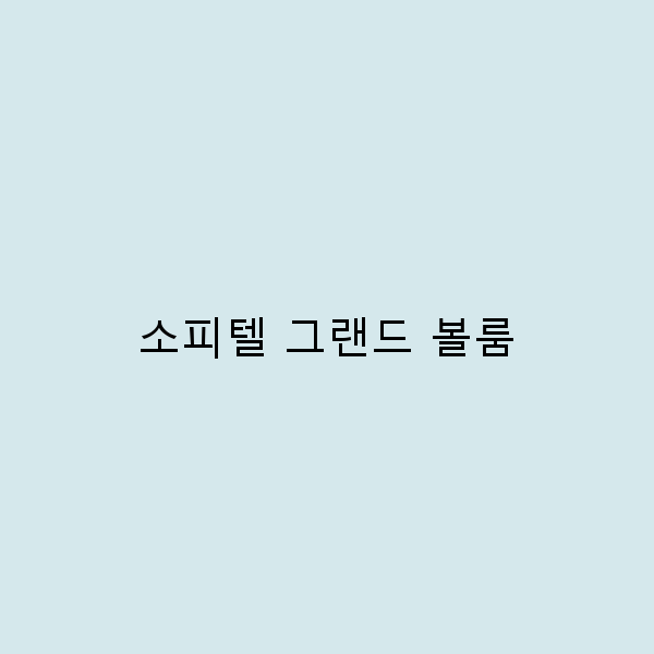소피텔 그랜드 볼룸에서의 꿈 같은 여행 경험 공유