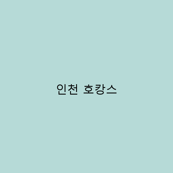 인천 호캉스, 완벽한 힐링 여행의 모든 것