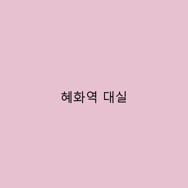 혜화역 대실, 완벽한 여행의 숨은 비밀 공개!