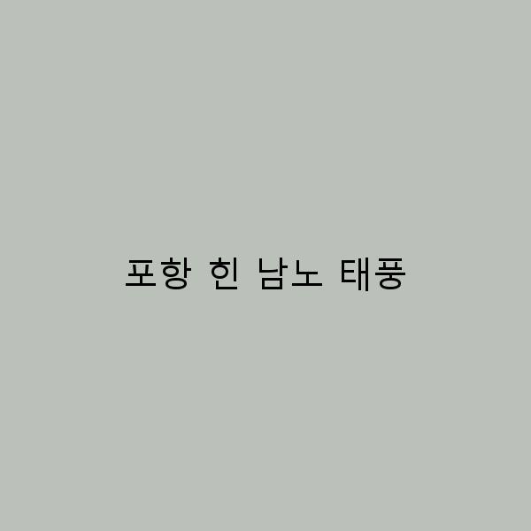 포항 힌 남노 태풍으로 안전하게 여행하는 꿀팁 2024년 최신 정보