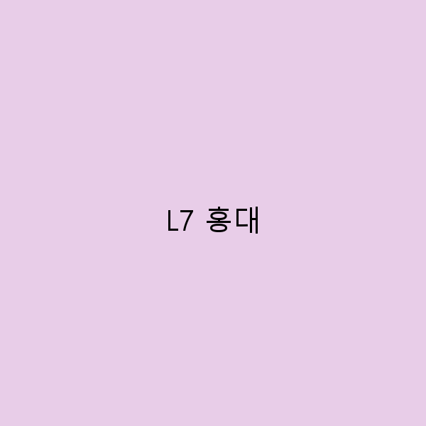 2024년 최신 가이드 홍대 L7 호텔에서 즐기는 최고의 여행 경험