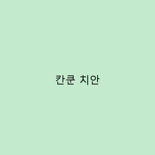 2025년 칸쿤 치안 완전 정복 가이드 안전하게 여행하는 법