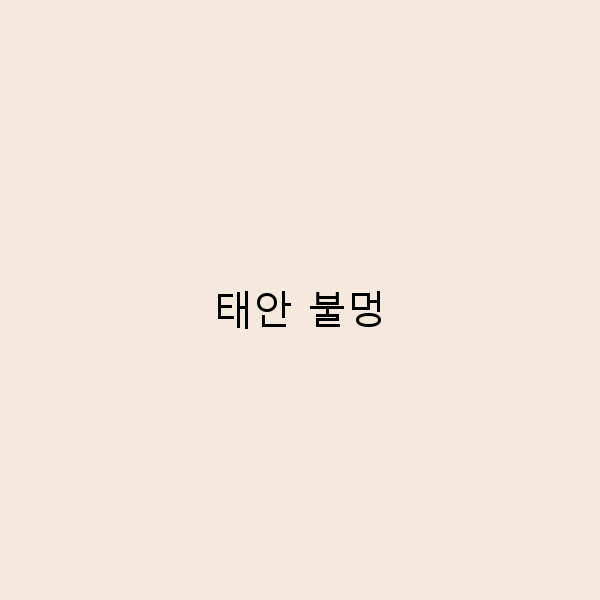 2025년 태안 불멍 추천 최고의 여행 명소 10곳