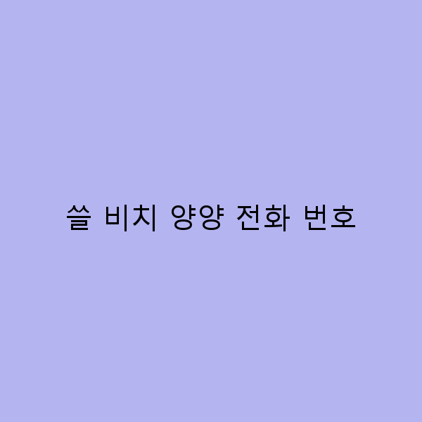 2025년 쏠 비치 양양 전화 번호 완전 정복 여행 필수 정보 공개