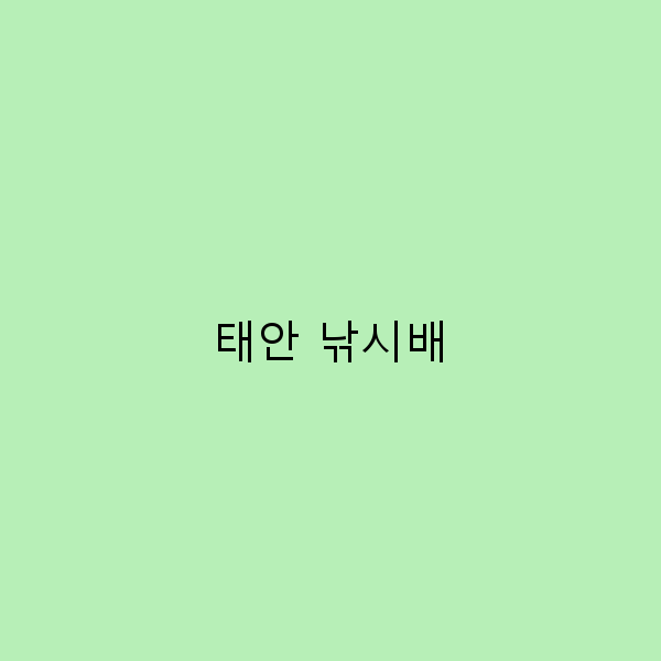 2025년 태안 낚시배 체험으로 즐기는 최고의 여행 비밀