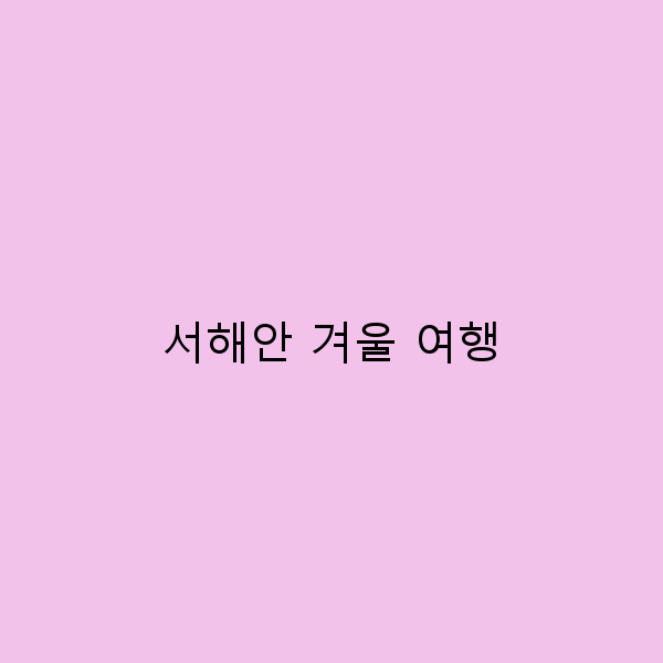 2025년 서해안 겨울 여행 추천, 놓치면 후회할 최고의 명소들
