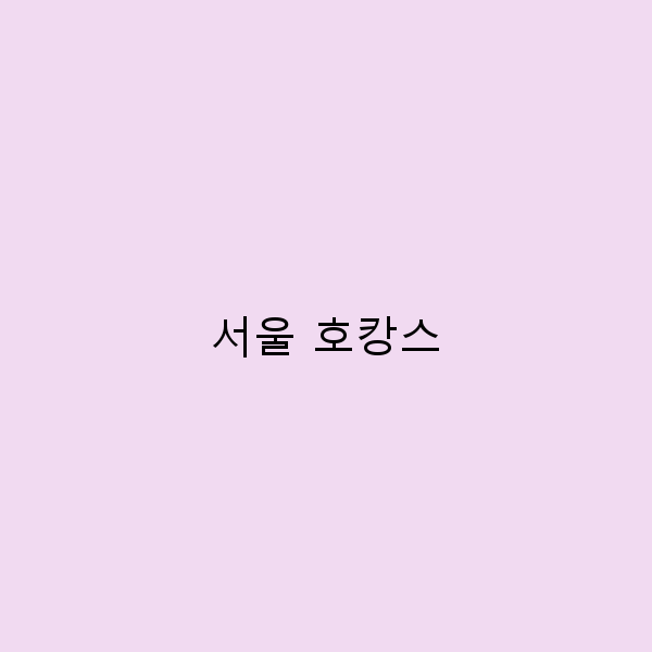 2025년 서울 호캉스로 떠나는 최고의 여행 꿀팁과 추천 호텔