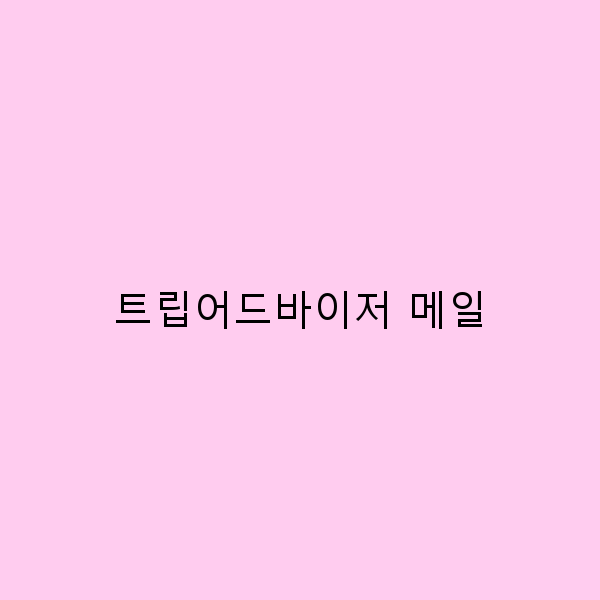 2025년 트립어드바이저 메일 활용법으로 여행 계획 완전 정복