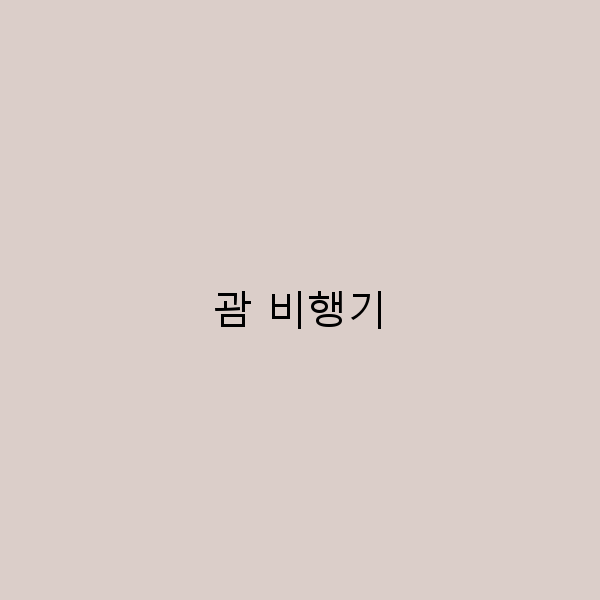 2025년 최신 가이드 괌 비행기 예약 꿀팁과 여행 꿀정보