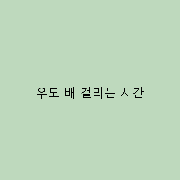 우도 배 걸리는 시간, 완벽 가이드 2025년 최신 정보