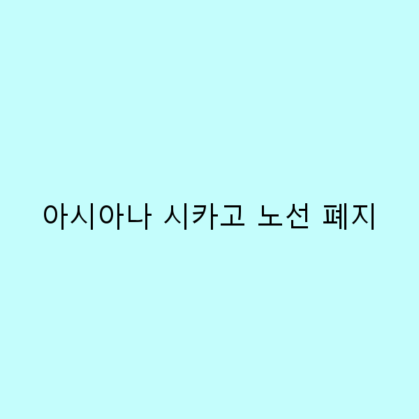 아시아나 시카고 노선 폐지, 2025년 여행에 어떤 영향이 있을까