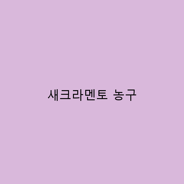새크라멘토 농구 여행 가이드 2025년 최신 추천 명소