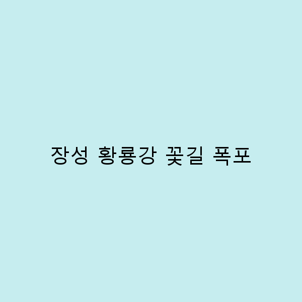 장성 황룡강 꽃길 폭포, 놓쳐서는 안 될 여행 명소