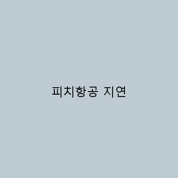 2025년 피치항공 지연 실시간 해결법과 꿀팁 공개