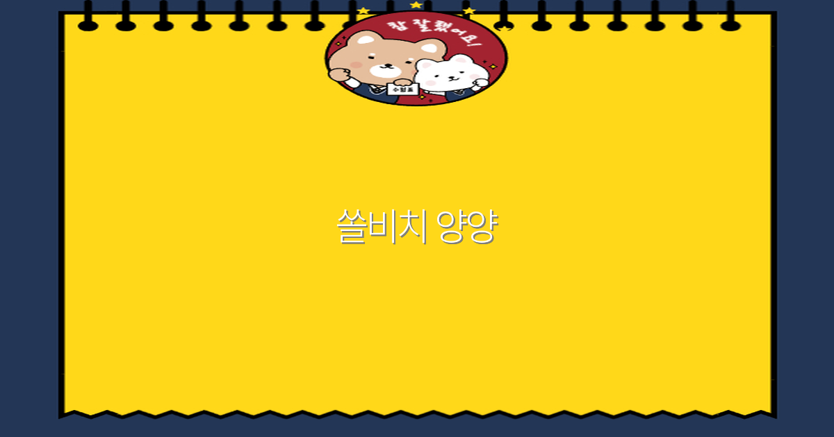 쏠비치 양양에서 즐기는 2025년 최고의 여행 비밀
