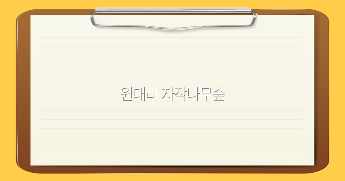 원대리 자작나무숲 여행 가이드 2025년 최신 추천 명소