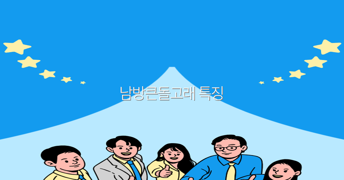 남방큰돌고래 특징 완전 정복 2025년 여행 필수 정보
