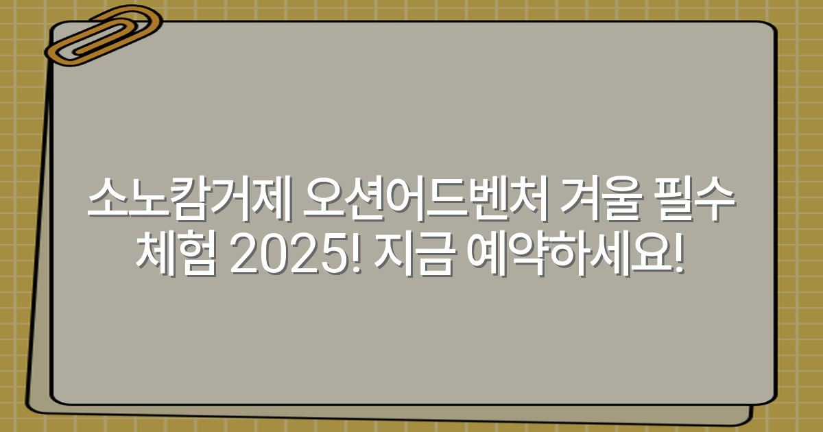 소노캄거제 오션어드벤처 겨울 필수 체험 2025! 지금 예약하세요!