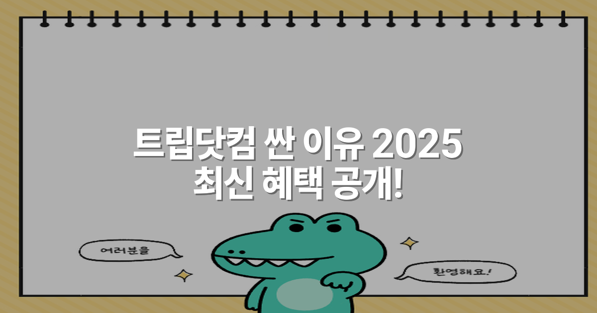 트립닷컴 싼 이유 2025 최신 혜택 공개!