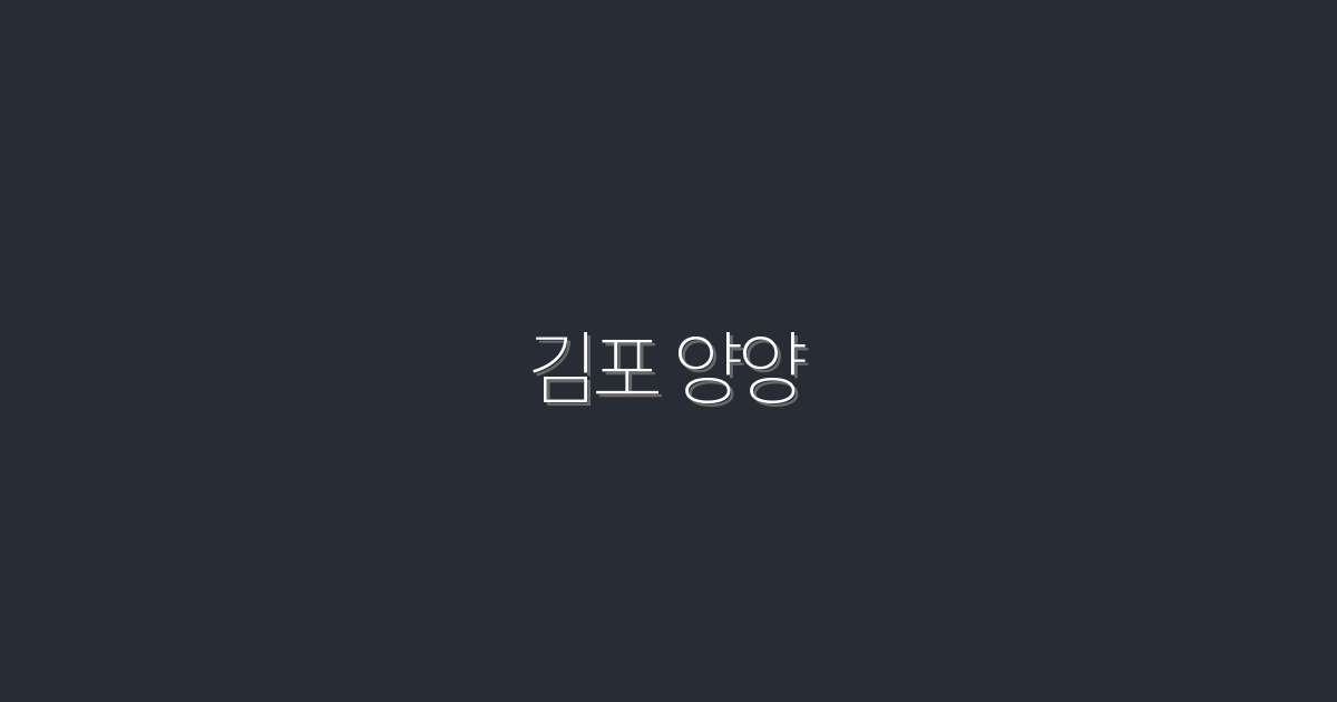 2026년 최신 김포 양양 여행지 5곳 완벽 가이드!